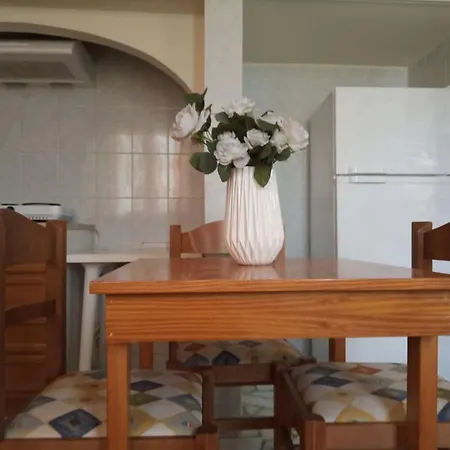 Cycladic At Naxos Town Apartment