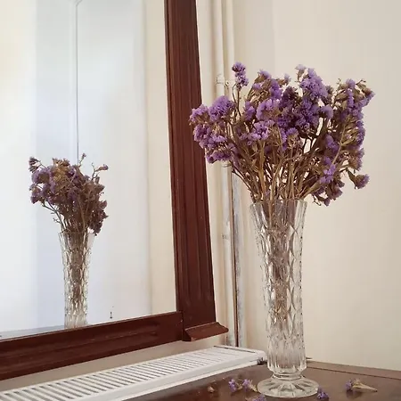 Cycladic At Naxos Town Apartment *
